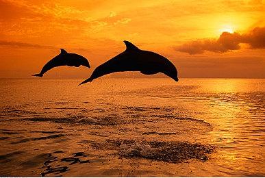 《生化奇兵》创作人：《犹大》是一款很传统的游戏